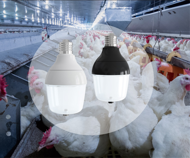 Tri-proof lights for food processing and livestock farm(poultry, dairy cattle, swine, etc